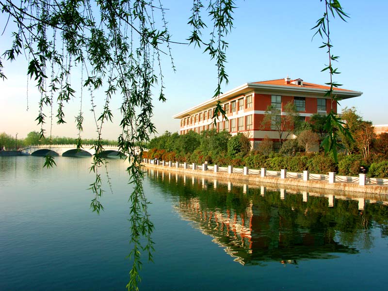 小黄书