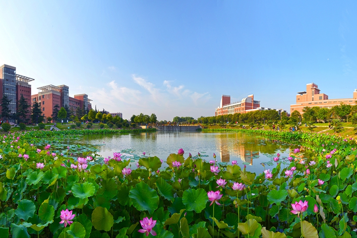 小黄书